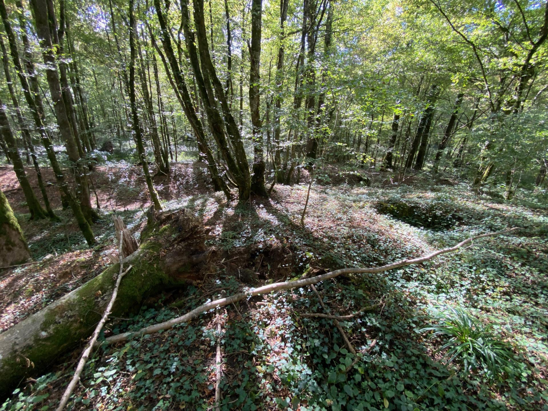 motte féodale