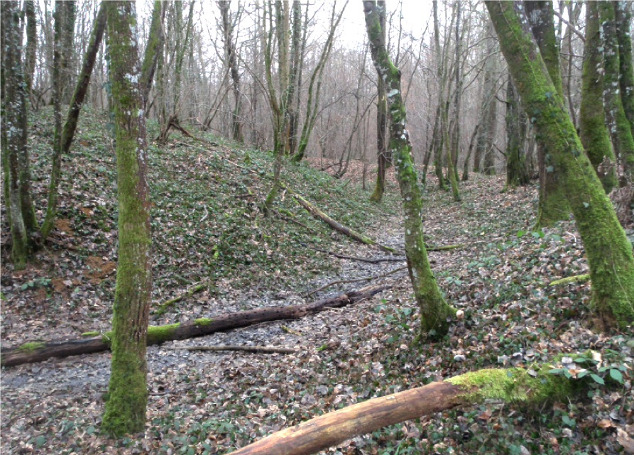 motte feodale