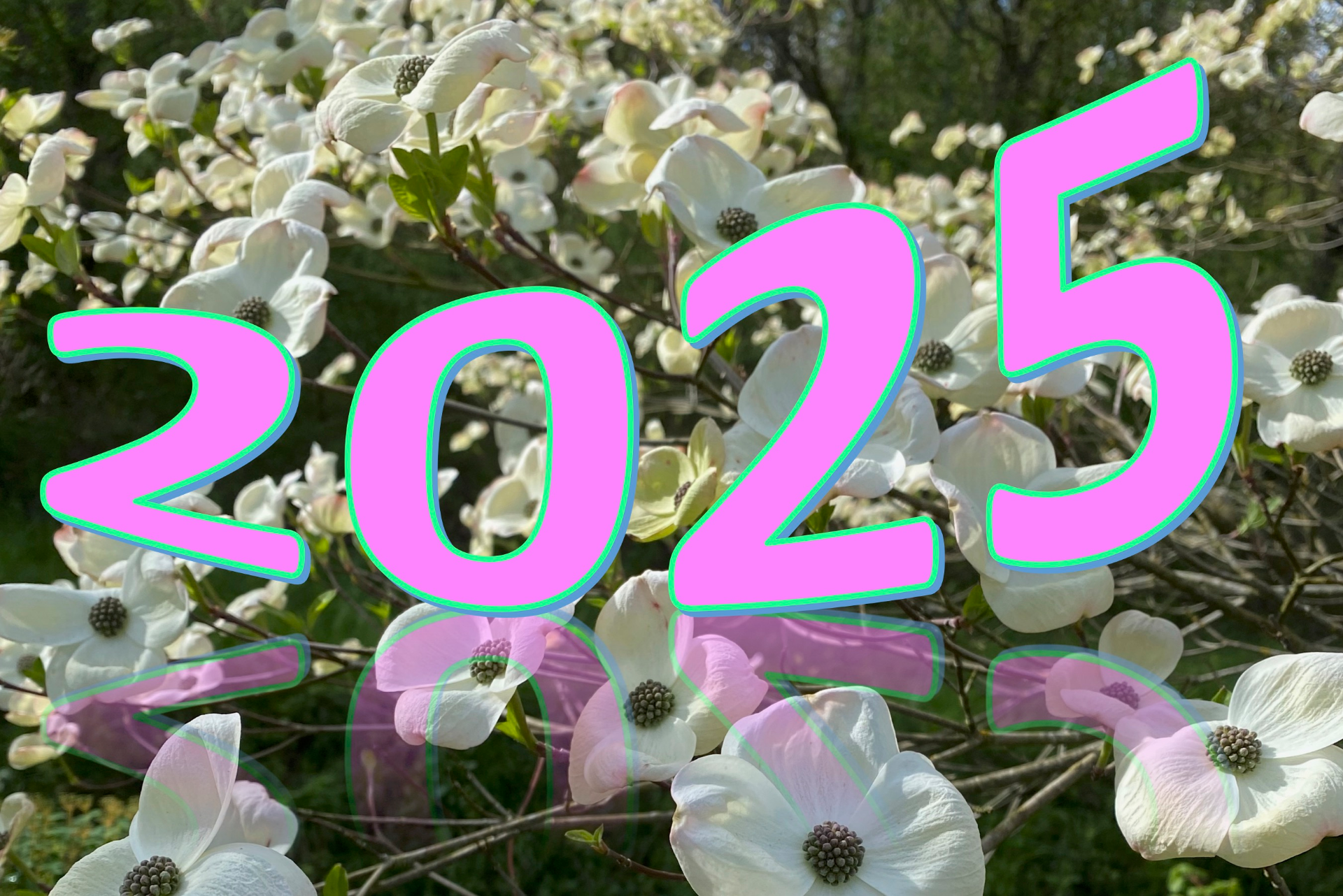 année 2025